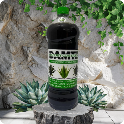 jugo de maguey con sabila